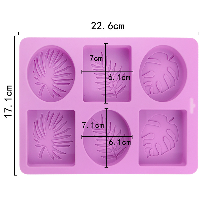 Runde und quadratische Blatt-S – Soap Making Experiment Bewertung und Preis
